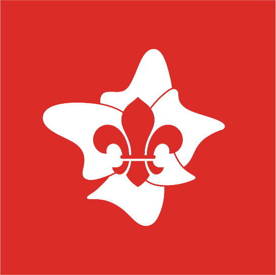 Rover Scouts